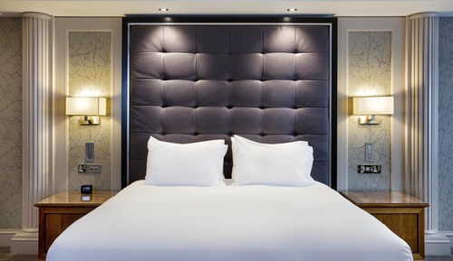 King, Suite, 1 habitación