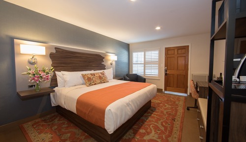 Habitación individual Deluxe, 1 cama de matrimonio grande, no fumadores
