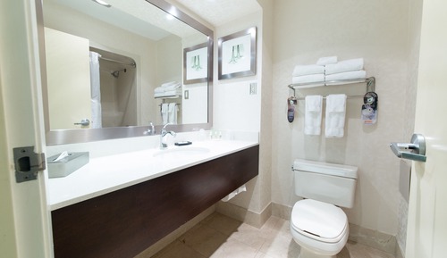 Habitación estándar, 1 cama de matrimonio grande