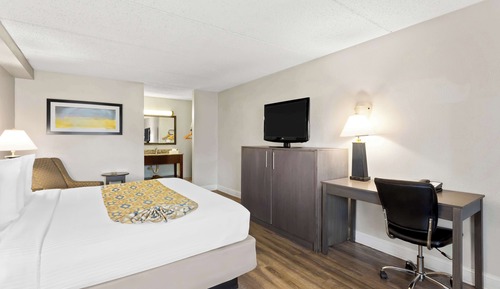 Habitación estándar, 1 cama de matrimonio grande, fumadores, frigorífico y microondas