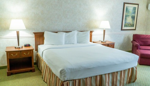Habitación estándar, 1 cama de matrimonio grande, no fumadores
