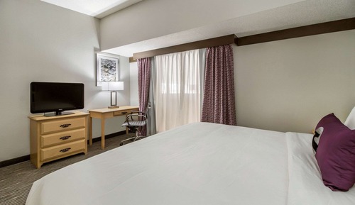 Suite, 1 Kind Bed with Sofa bed, Non Smoking