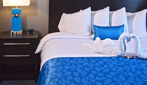 Suite, 1 cama de matrimonio, accesible para personas con discapacidad (Mobility, Roll-In Shower)