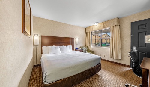 Habitación estándar, 1 cama de matrimonio grande, no fumadores