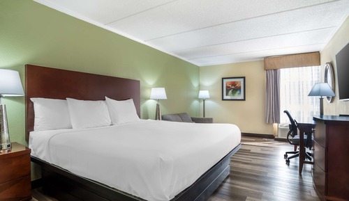 Habitación estándar, 1 cama de matrimonio grande, no fumadores, frigorífico y microondas
