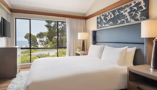 Habitación estándar, 1 cama de matrimonio grande, vistas al jardín