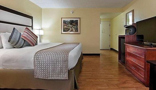 Suite, 1 cama de matrimonio grande, no fumadores (One-Bedroom)