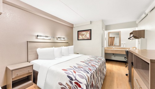 Habitación Deluxe, 1 cama de matrimonio grande (Smoke Free)