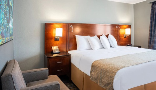 Habitación estándar, 1 cama de matrimonio grande