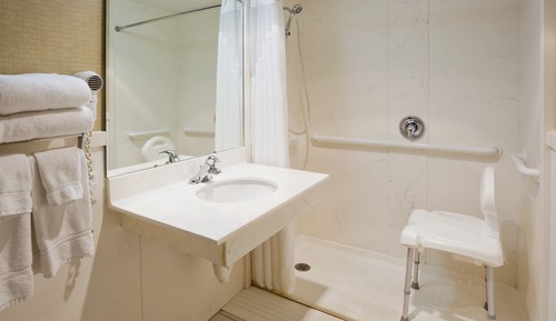 Habitación estándar, 1 cama de matrimonio, accesible en silla de ruedas (Roll-In Shower)