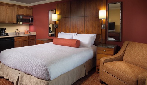 Estudio, 1 cama de matrimonio grande
