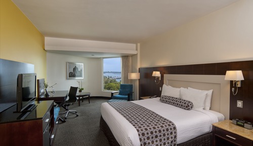 Habitación Premium, 1 cama de matrimonio grande