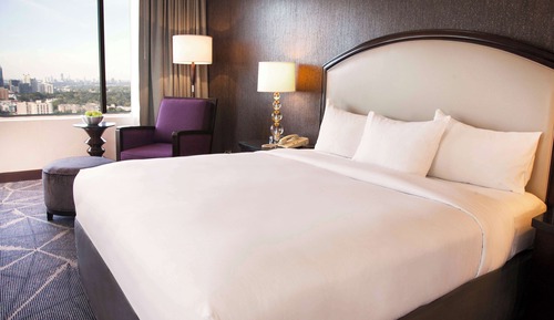 Suite Premium