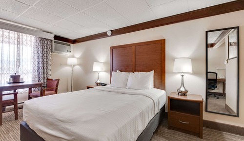 Habitación estándar, 1 cama de matrimonio, no fumadores, frigorífico y microondas (Pet Friendly)