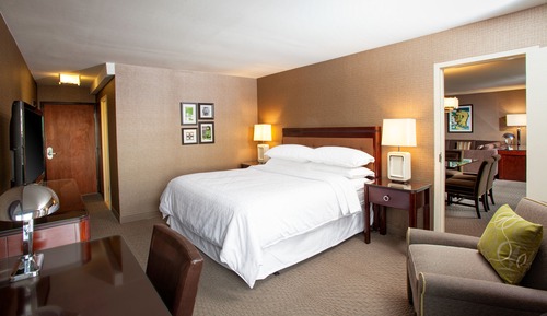 Suite presidencial, 1 cama de matrimonio grande con sofá cama
