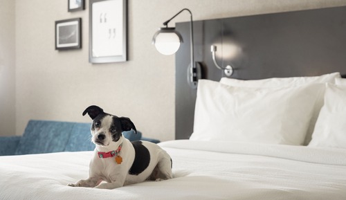 Habitación, 1 cama de matrimonio grande con sofá cama, no fumadores