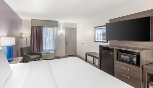 Habitación estándar, 1 cama de matrimonio grande, fumadores, frigorífico y microondas