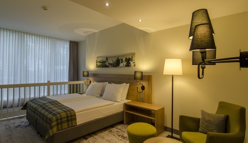 Habitación estándar, 1 cama de matrimonio grande con sofá cama