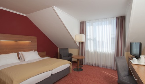 Habitación estándar, 1 cama doble
