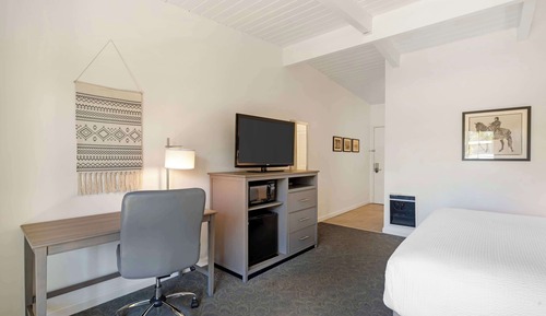 Habitación estándar, 1 cama de matrimonio grande, no fumadores, frigorífico y microondas