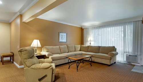 Apartamento estándar, 1 cama de matrimonio, no fumadores, cocina (Living Room;with Sofabed)