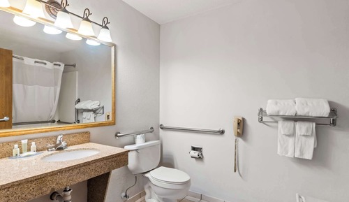 Habitación, 1 cama de matrimonio, accesible para personas con discapacidad, no fumadores