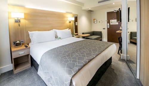 Habitación estándar, 1 cama de matrimonio grande