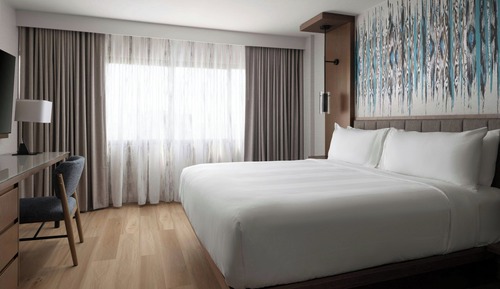 Suite, 1 habitación, no fumadores