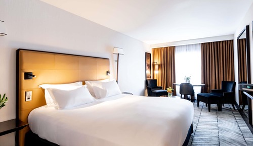 Habitación de lujo, 1 cama de matrimonio grande