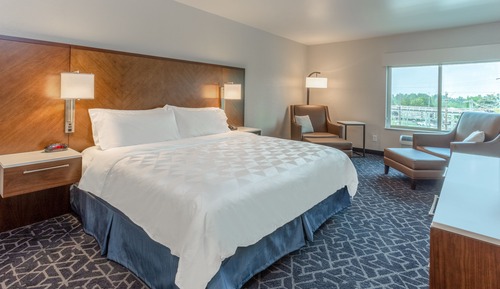 Habitación estándar, 1 cama de matrimonio grande con sofá cama, vistas al parque