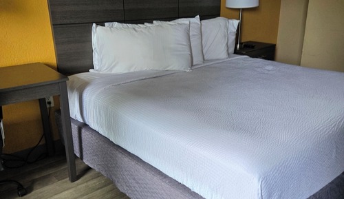 Habitación estándar, 1 cama de matrimonio grande