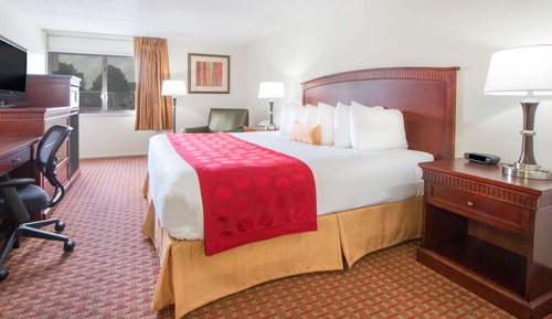 Suite, 1 cama de matrimonio grande, no fumadores, bañera de hidromasaje