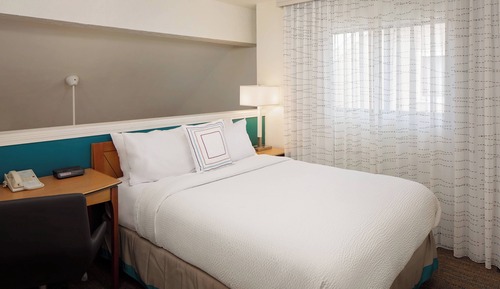Estudio básico, 1 cama de matrimonio con sofá cama (Mobility/Hearing Access, Roll-In Shwr)