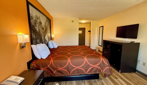 Habitación estándar, 1 cama de matrimonio grande