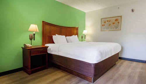 Habitación, 1 cama de matrimonio grande