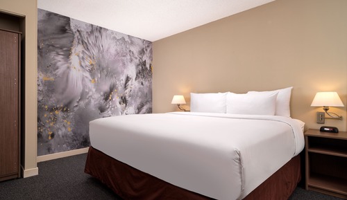 Suite estudio superior