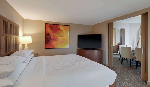 Suite, 1 cama de matrimonio grande (Vista)