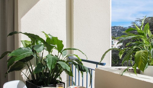 Habitación Deluxe, terraza