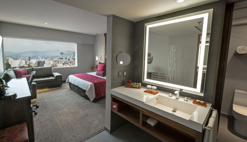 Habitación clásica, 1 cama de matrimonio grande (Polanco View)
