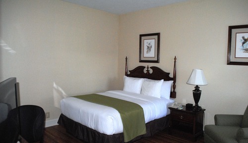 Habitación estándar, 1 cama de matrimonio