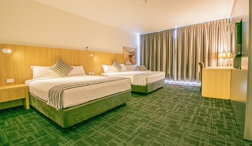 Habitación Deluxe con 2 camas individuales