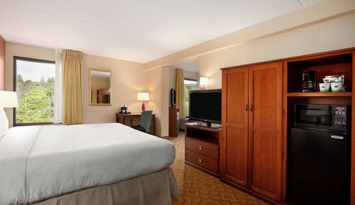 Suite, 1 cama de matrimonio grande, no fumadores