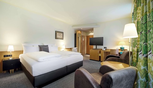 Habitación Confort, 1 cama doble