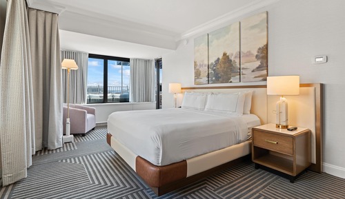 Suite presidencial, 1 cama de matrimonio grande