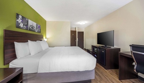 Habitación estándar, 1 cama de matrimonio grande, no fumadores