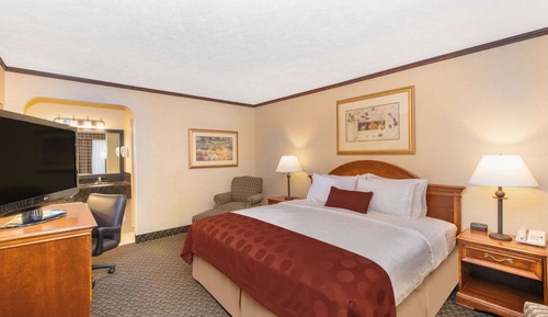 Suite, 1 cama de matrimonio grande, no fumadores