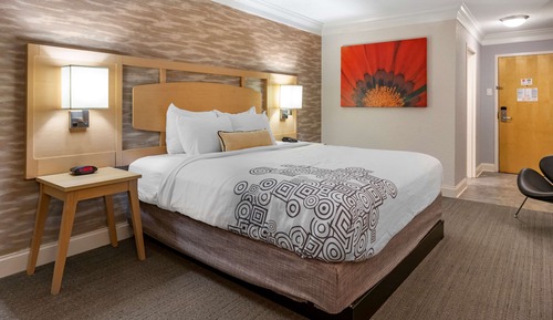 Habitación estándar, 1 cama de matrimonio grande, no fumadores, frigorífico