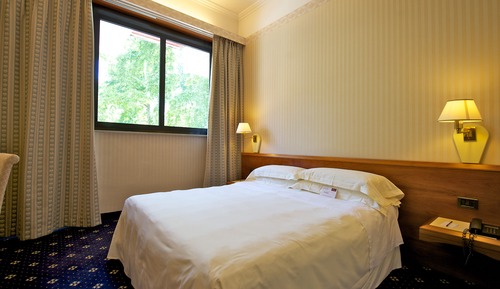 Habitación estándar, 1 cama doble