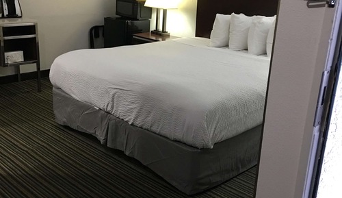 Habitación estándar, 1 cama de matrimonio grande, no fumadores, frigorífico y microondas