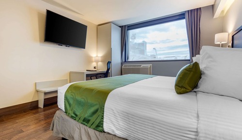 Habitación estándar, 1 cama de matrimonio grande, no fumadores